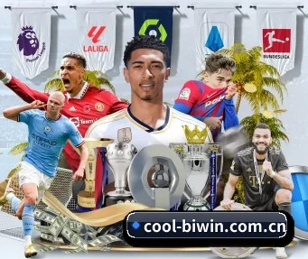 cool-biwin.com.cn APP